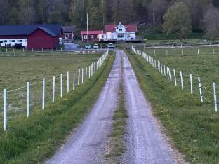 Rural Retreat Near Forest and Sea